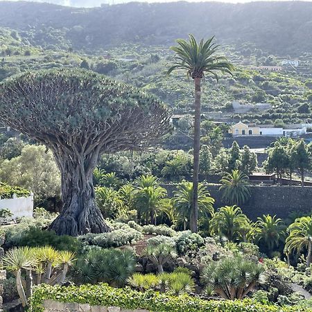 Rooftop View Escape - 1 Minute To Center And Fast Wi-Fi - Special Low Season Price For May And June Icod De Los Vinos Exteriér fotografie